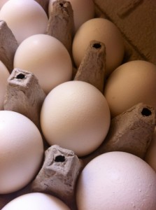 Eggs