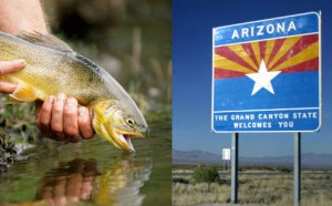 Arizona is appalled that the state fish doesn't represent the right people.