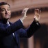 LDS Church Endorses Ted Cruz, Citing “Historic Dildo Policy”
